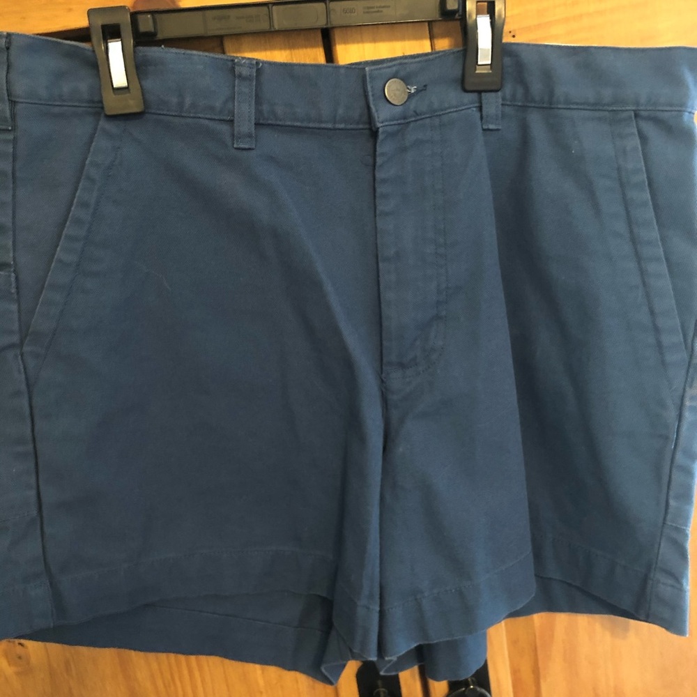 Patagonia Shorts